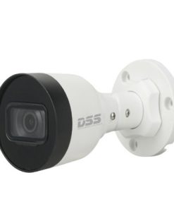 Camera IP DAHUA DS2431SFIP-S2