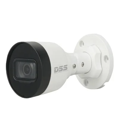 Camera IP DAHUA DS2431SFIP-S2 – Trường Thịnh Telecom